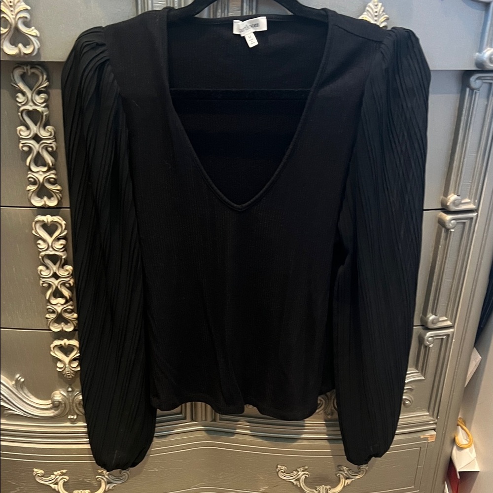 Heartloom Black V-Neck Blouse with Pleated Sleeves